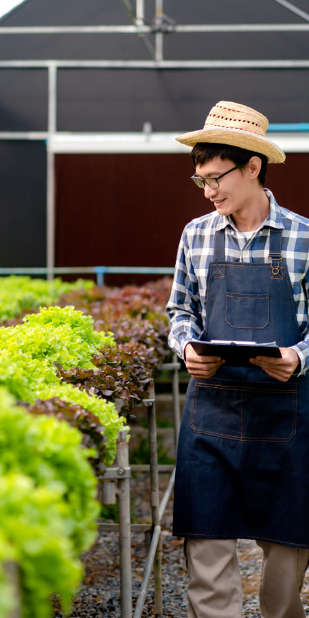 a man monitoring plants